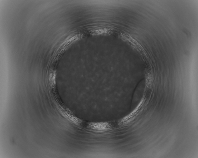 X0000113620191200909181447