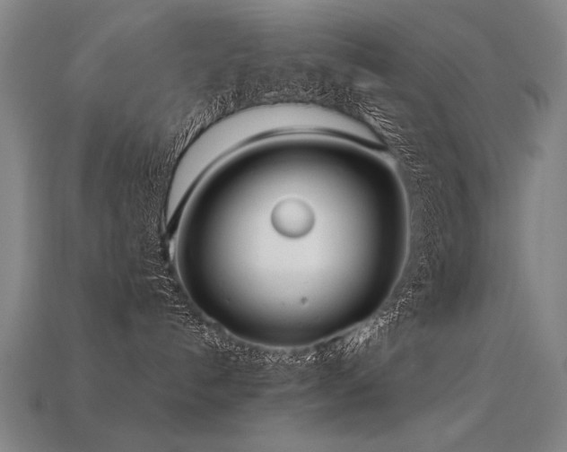 X0000113620192200909181447