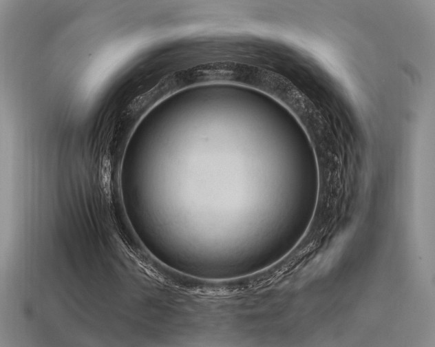 X0000113620194200909181446