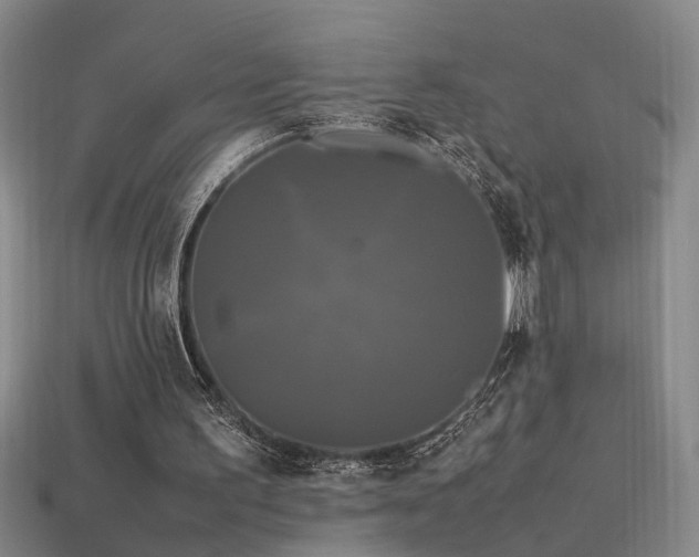 X0000113620195200909181446