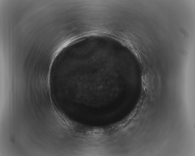 X0000113620196200909181446