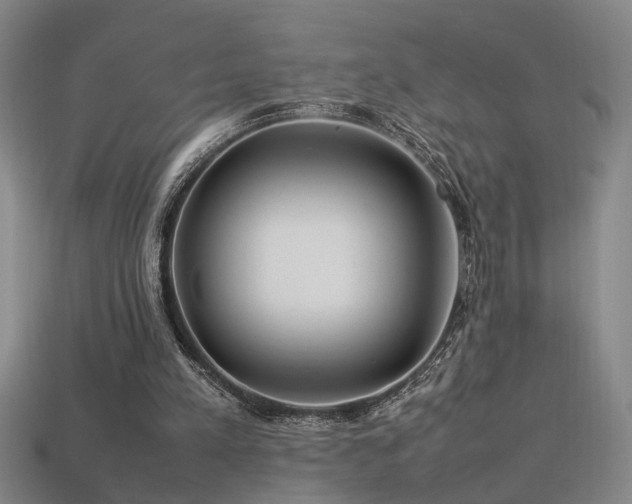 X0000113620197200909181446