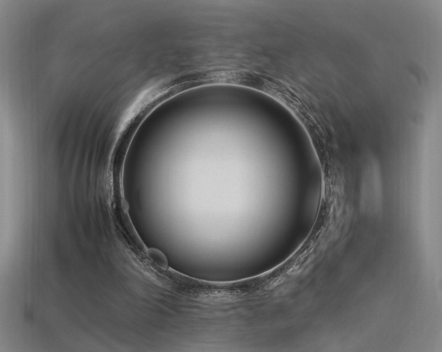 X0000113620198200909181446