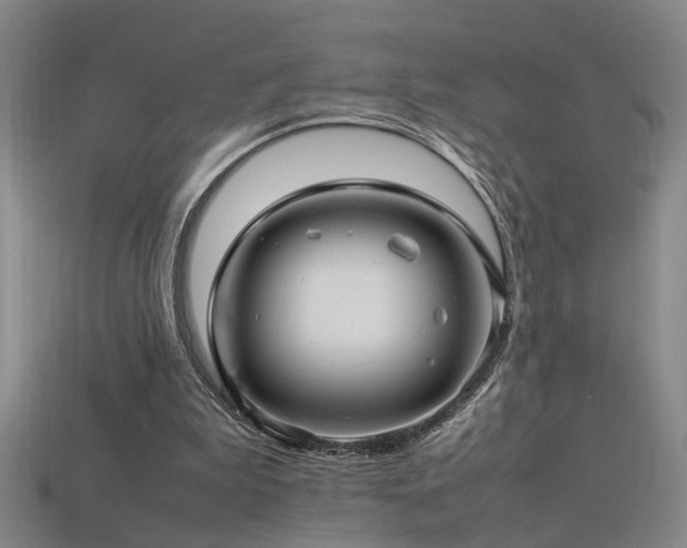 X0000113620199200909181446