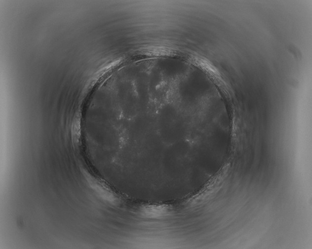 X0000113620202200909181446