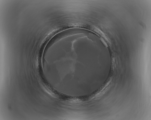 X0000113620203200909181446