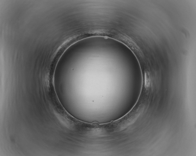 X0000113620204200909181446