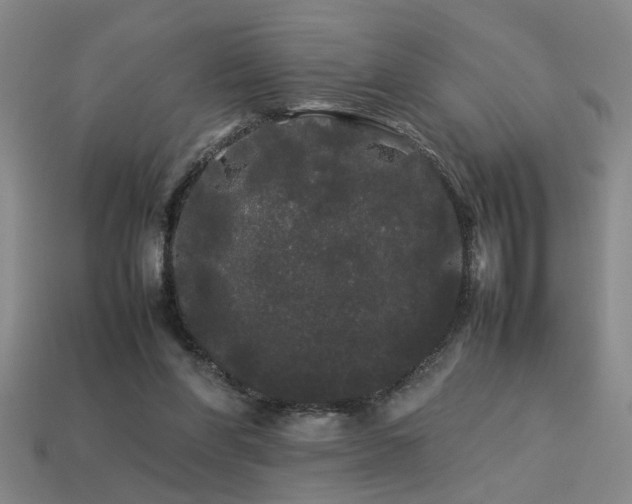 X0000113620206200909181446