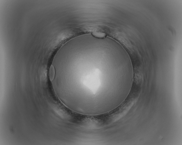 X0000113620207200909181446