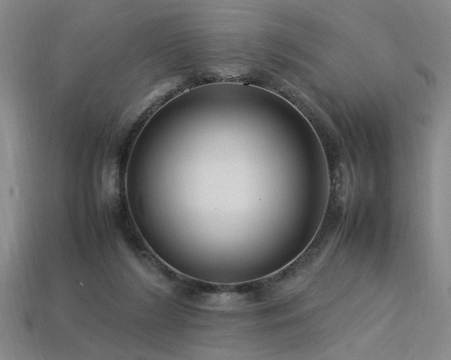 X0000113620212200909181446