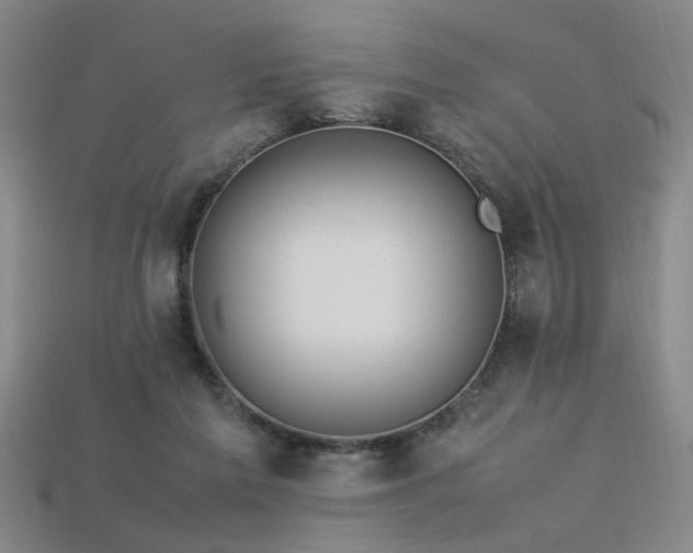 X0000113620213200909181446