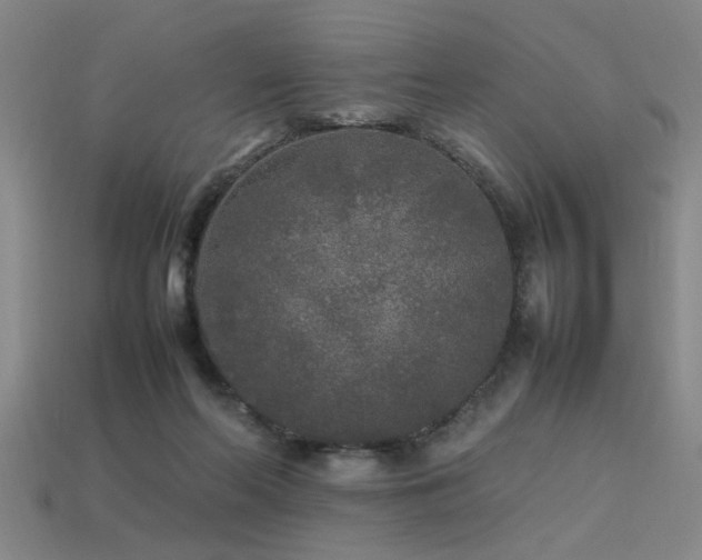 X0000113620214200909181446