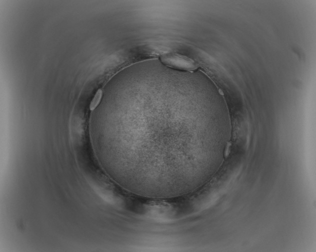 X0000113620215200909181446