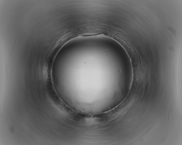 X0000113620216200909181446