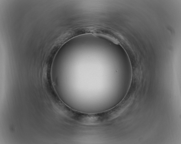 X0000113620217200909181446