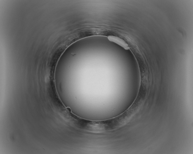 X0000113620221200909181446