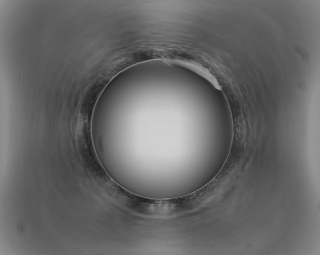 X0000113620225200909181446