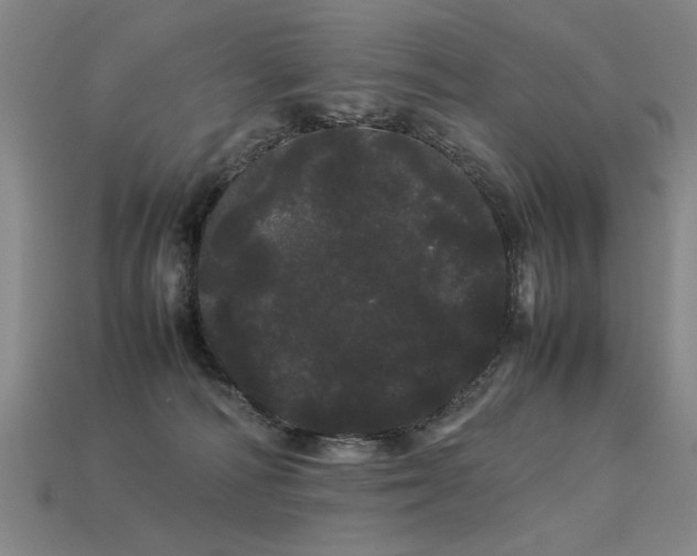 X0000113620226200909181446