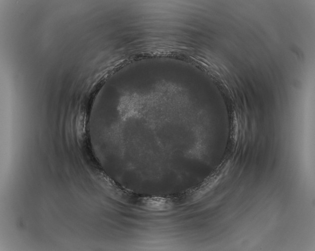 X0000113620230200909181446