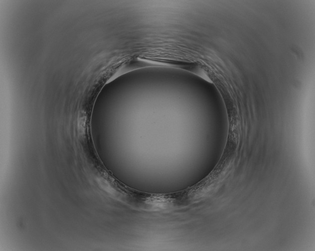 X0000113620231200909181446