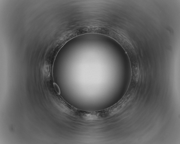 X0000113620232200909181446