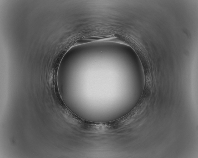 X0000113620233200909181446