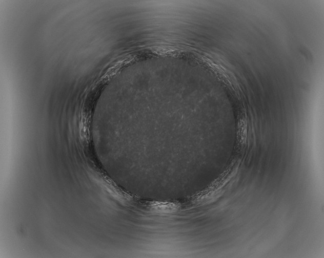 X0000113620234200909181446