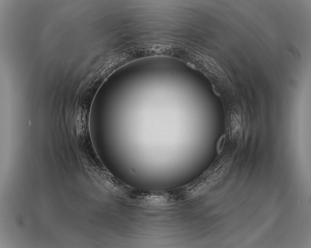 X0000113620236200909181446