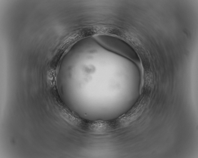 X0000113620237200909181446