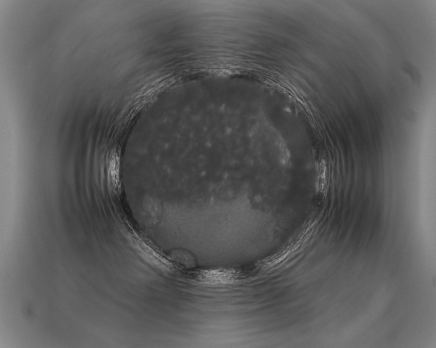 X0000113620238200909181446