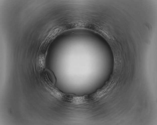 X0000113620240200909181446