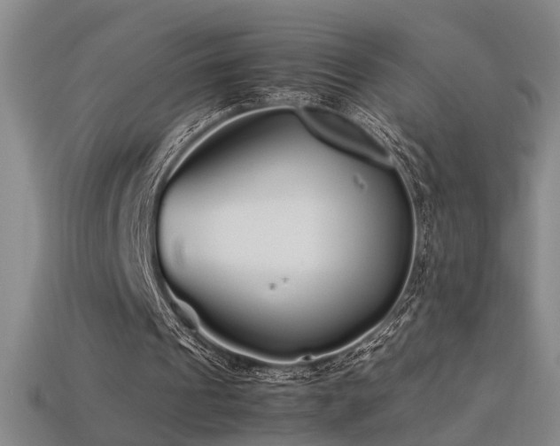 X0000113620241200909181445