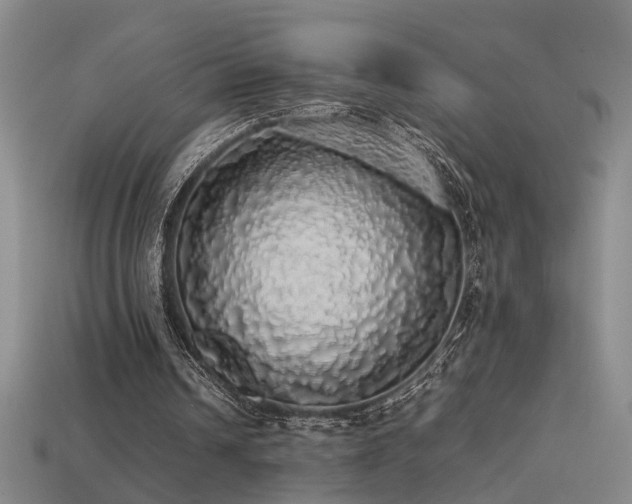 X0000113620242200909181445