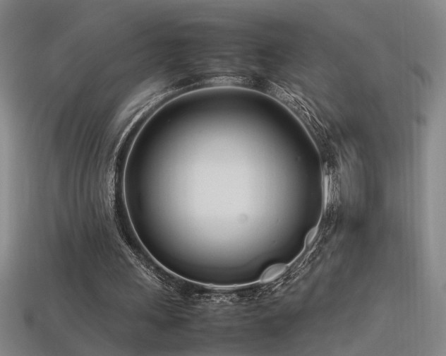 X0000113620243200909181445