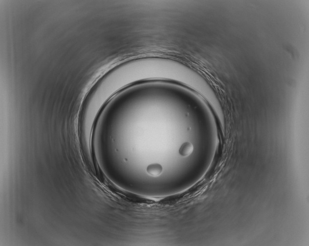 X0000113620244200909181445