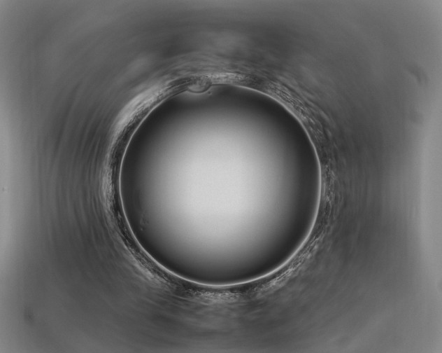 X0000113620245200909181445