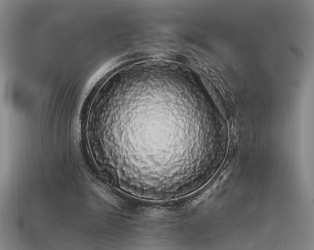 X0000113620246200909181445