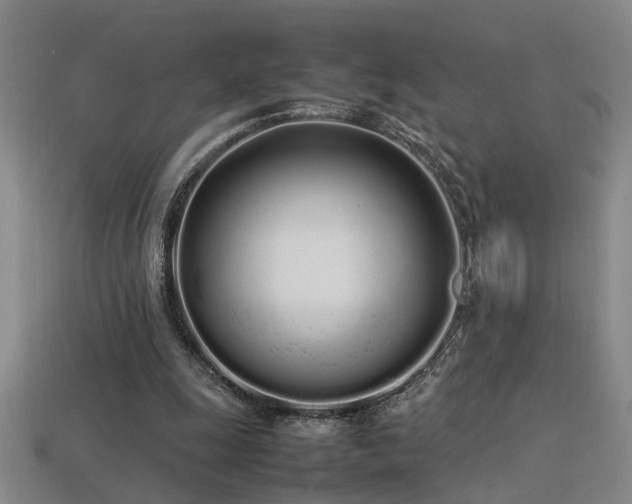 X0000113620247200909181445