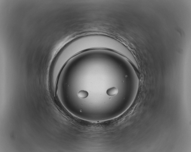 X0000113620248200909181445