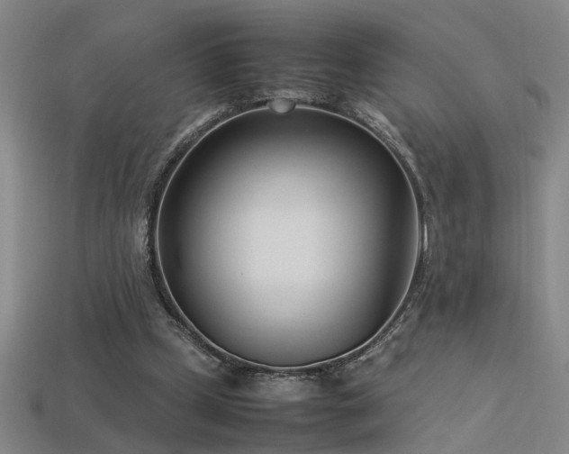 X0000113620249200909181445