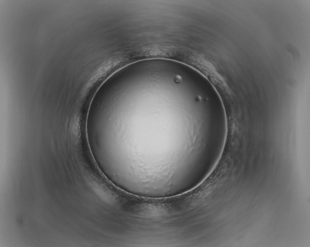 X0000113620250200909181445