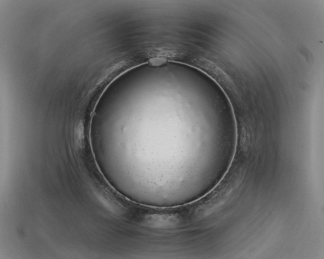 X0000113620251200909181445