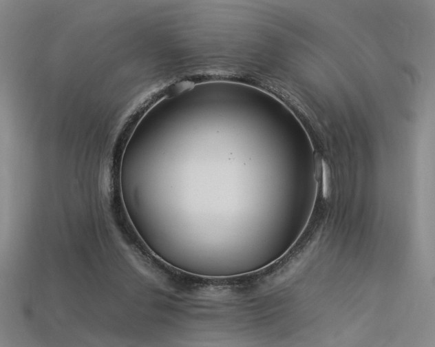 X0000113620252200909181445