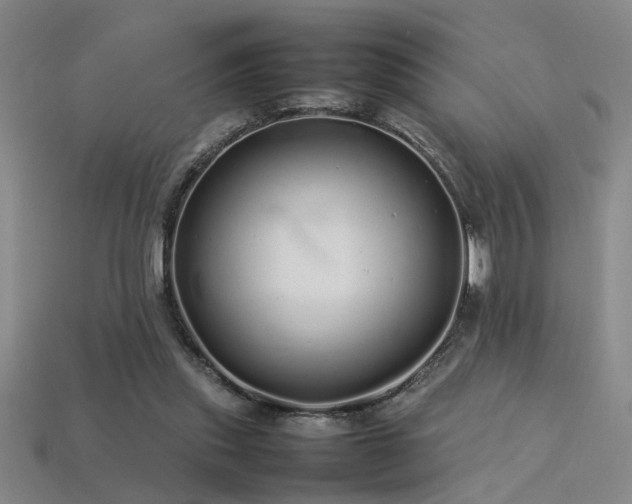 X0000113620253200909181445