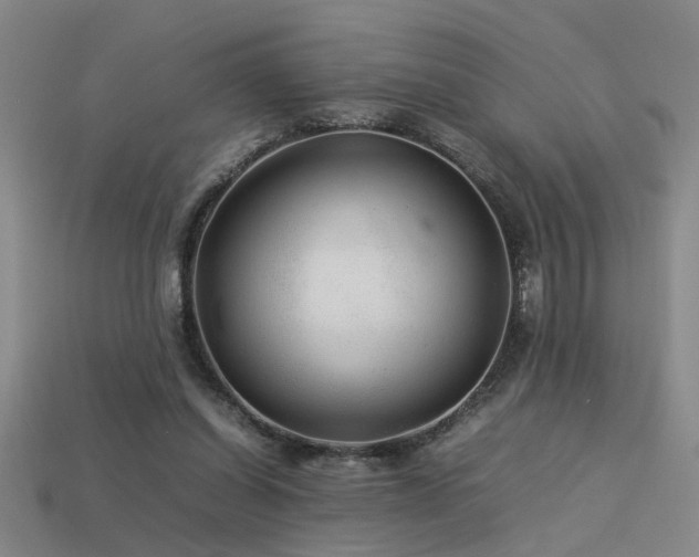 X0000113620254200909181445