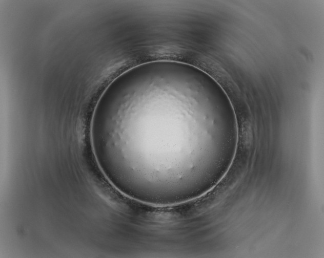 X0000113620255200909181445