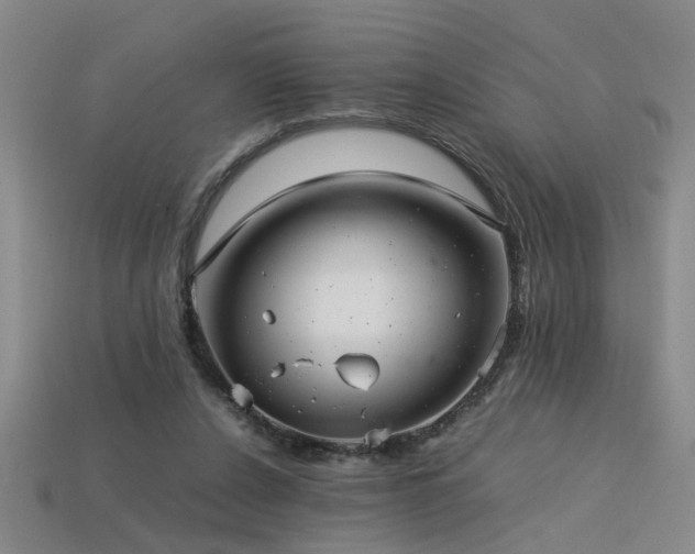 X0000113620256200909181445