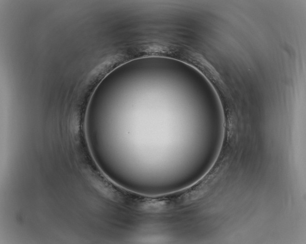 X0000113620257200909181445