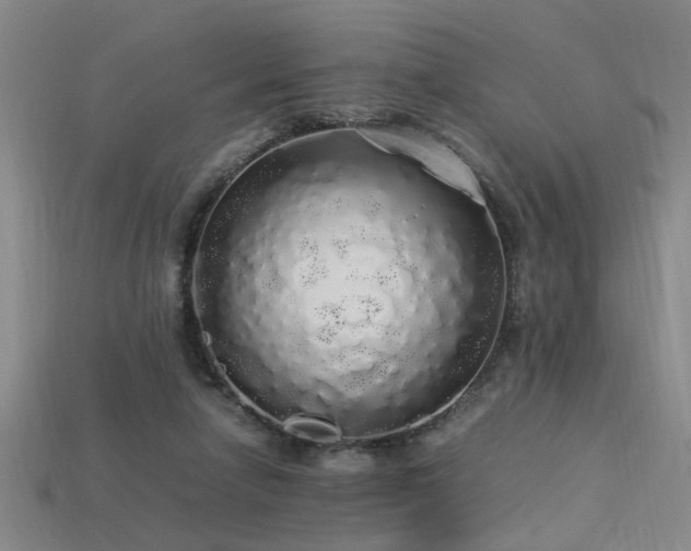 X0000113620258200909181445