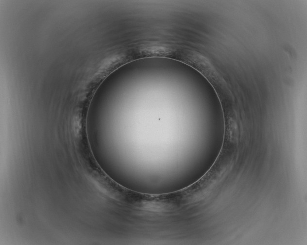 X0000113620259200909181445